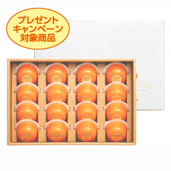 夕張メロンピュアゼリー　プレミアム　16個入