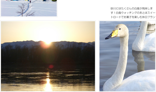 砂川にはたくさんの白鳥が飛来します！白鳥ウォッチングのあとはスイートロードでお菓子を楽しむ休日プランはいかがですか？