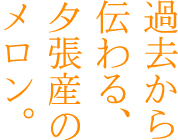 過去から伝わる、夕張産のメロン。