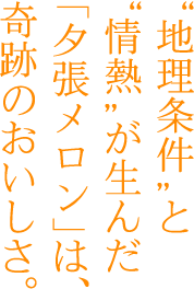 地理条件と情熱が生んだ「夕張メロン」は、奇跡のおいしさ。